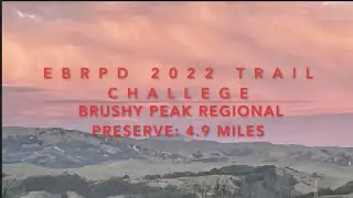 Brushy Peak Regional Preserve: 4.9 mile Moderate EBRPD 2022 Trail Challenge Hike.