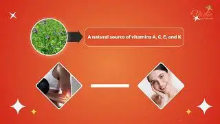 Vadic 99 B12 | Plant-Based Natural B12 Supplement for Energy, Immunity & Total Wellness