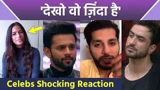 Poonam Pandey Alive Viral Video: TV Bollywood Celebs Shocking Reaction, Others... | Boldsky