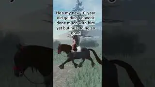 I love Vivian 🤩❤️ #foryou #horse #roblox #strideway