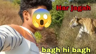 Har jagah // bagh  hi bagh 🐯  