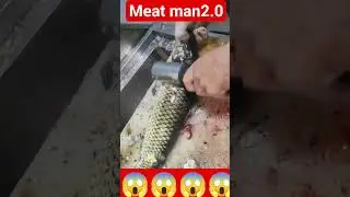 special fish meat cutting machine 🤔🤔🤔#seafood #youtubeshorts #viral #shorts