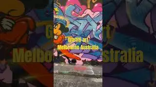 The famous graffiti street in Melbourne Australia 🇦🇺