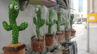 Trending DANCING CACTUS Talking Toys How it&rsquo;s Work Funny Talking Toys 🇦🇪 🇵🇭 1M views