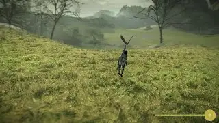 Horse Jump Hawk Grab SHADOW OF THE COLOSSUS