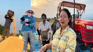 Went to Runne village for helping Bua ji&rsquo;s paddy field.@RenuTanungVlogs99 