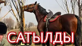 ГРОМ ӨТӨ ТЕЗ АТ АСЫЛ АКЕДЕ