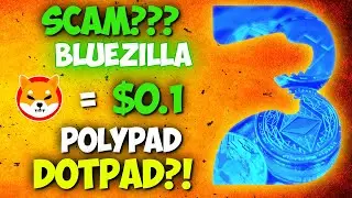 Is BlueZilla/ Polypad a Scam? Dotpad IDO Launch Postponed | My Thoughts
