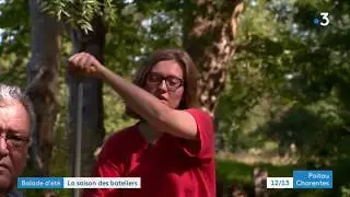 Balade d'été - pigouiller dans le Marais poitevin