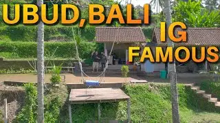 Bali Swing |Tegalalang Rice Terrace| Bali Travel Guide