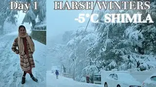 Frozen Shimla after a long time II Stuck in Snow❄️ #snowfall #shimla #himalayas #winter #viralvideo