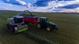 Zbiór Traw 2020 DSV Futtertrio