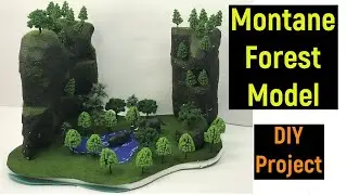 montane forest - montane forest model - forests of India - diyas funplay - forest model