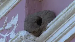 Reporte Diario - Museo Casona M&aacute;ximo Tajes 12-06-2019