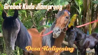IKUTI KESERUAN KUDA JLAMPRONG  || KUDA JINGKRAK