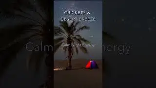 Crickets & Gentle Desert Wind | Deep Sleep Nature Sounds #shorts