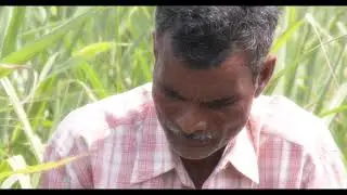 MAHASANKALPAM  INPUT SUBSIDY