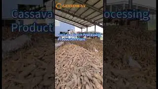 Cassava Starch Processing Production Plant