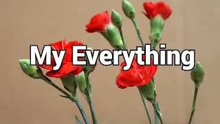 The happiest day of my life was when I found out that you also loved me/love poems/Pernia quotes