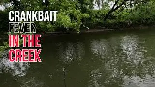 Indiana Spring Smallmouth Bass Fishing - Crankbait Creak Freaks
