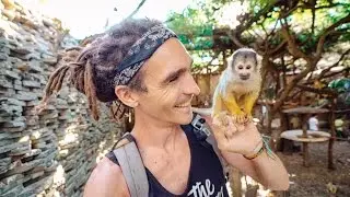 CUTEST MONKEYS EVER!!