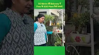 How to plant 500 plants for free in a 50 meter balcony #shorts #shanticreations #plantlovers