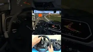 Just a normal day at Tmp 😅🚛 #eurotrucksimulator2 #ets2 #daf #truckersmp #shorts