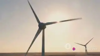The Aftermath of Failed Green Energy