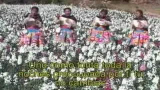 las chicas rosas y claveles - el borracho