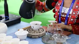 GLOBALink | South Asia Tea Festival held at China-South Asia Expo