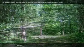 XXX HARDACRE TR, Houghton Lake, MI Presented by Craig Sredzinski.