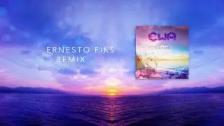 Flying Circles (Ernesto Fiks Remix)