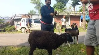 Kanepokhari to Letang Vlog