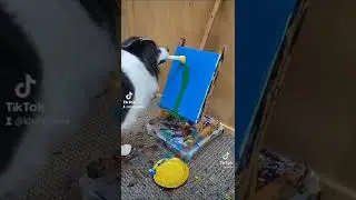 Talented Dog wow