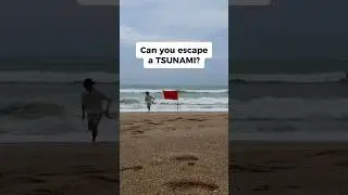 Can you escape a TSUNAMI?