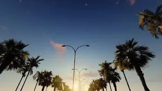 Driving Through Palm Trees | Videohive Project Templates