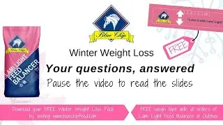 Equine Winter Weight Loss &ndash; Your questions answered