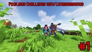 Look at Them Balls - Pixelmon Challenge Versus LucasDarkWood #1