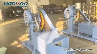 Hanyoo THP Series Round Ball Flower Basket Tablet Press#pharmaceuticalmachinery #tabletpress