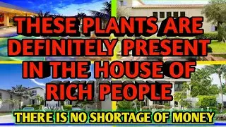 These Plants are definitely present in the homes of rich people, there is no shortage of money