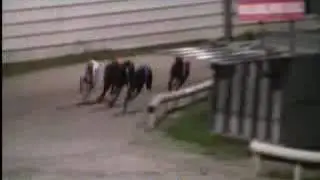 IGB - The Jaytee Taylor A9  19/09/2018 Race 3 - Kilkenny
