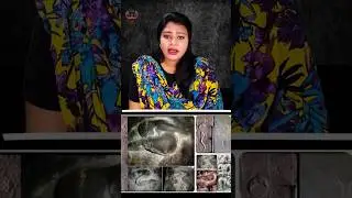 Human Birth process carving stone| temple in Tamilnadu 😲 Varamurtheeswara temple #tamilfacts#temple