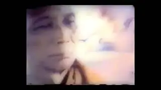 Webu Sayadaw - Anthology of a Noble One (1 of 7)