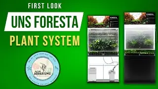Explore the New UNS Foresta Plant Holding System for Retailers | Exclusive Preview!