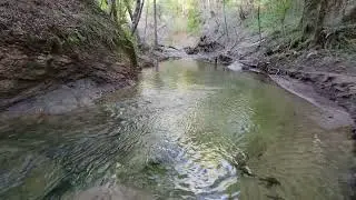 Kings Creek February, 21, 2023, Santa Cruz Mountains, California