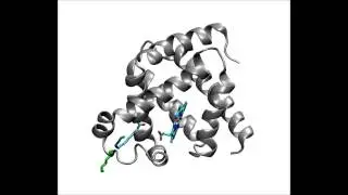 Molecular Dynamic Simulations Reveal the Structural Determinants of Fatty Acid Binding...