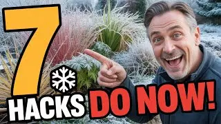 These 7 Winter Hacks Saved My Entire Garden From Frost Damage