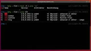 How to list the version number of an installed .deb package