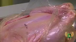 Сальмонеллы и листерии в мясе птицы