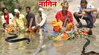 #दुल्हन को इच्छाधारी #नागिन डंस ली तो सपेरा फिर क्या हुआ देखिए सच्चाई |MR9 Comedy